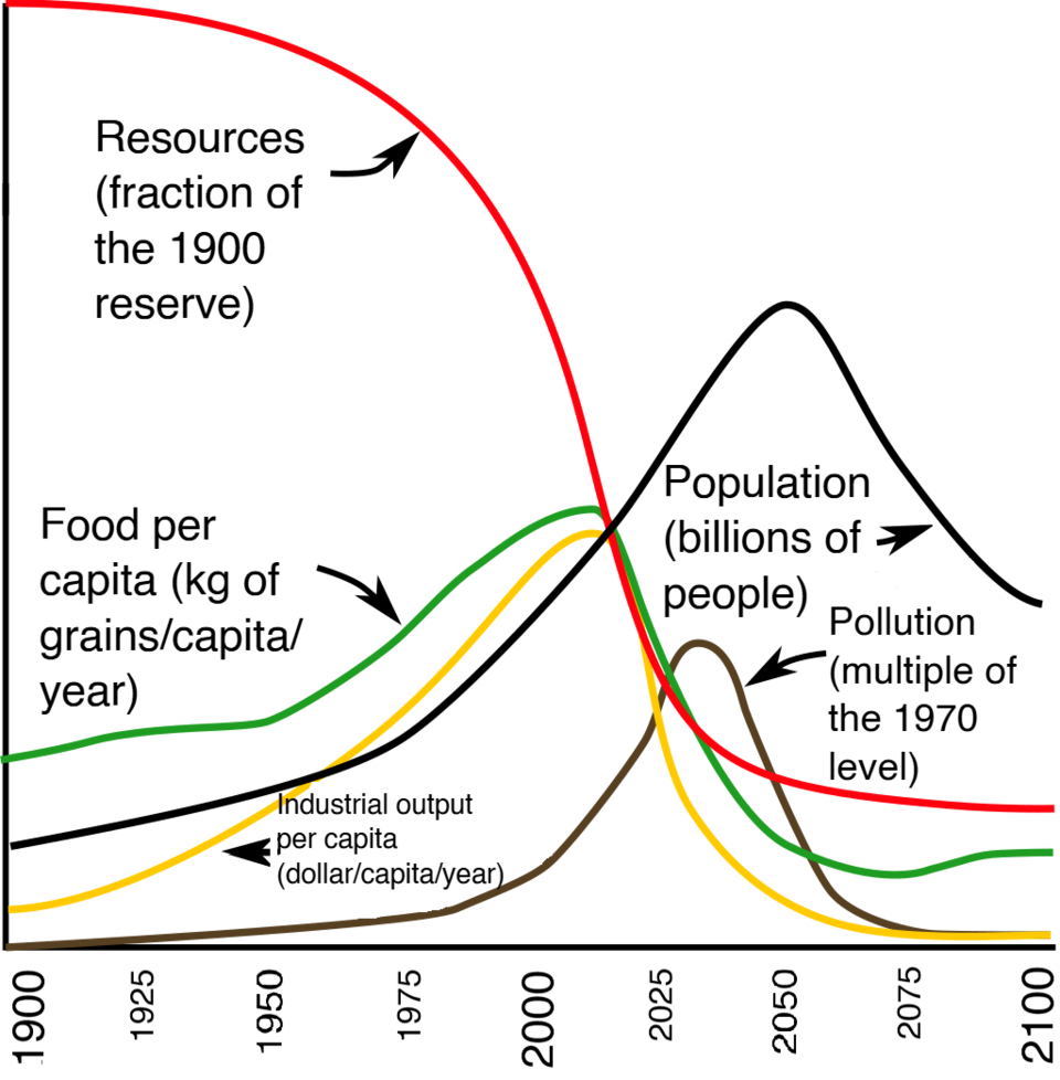 Limits to Growth Model